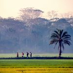 Village of Bangladesh – (Rural life Experience)