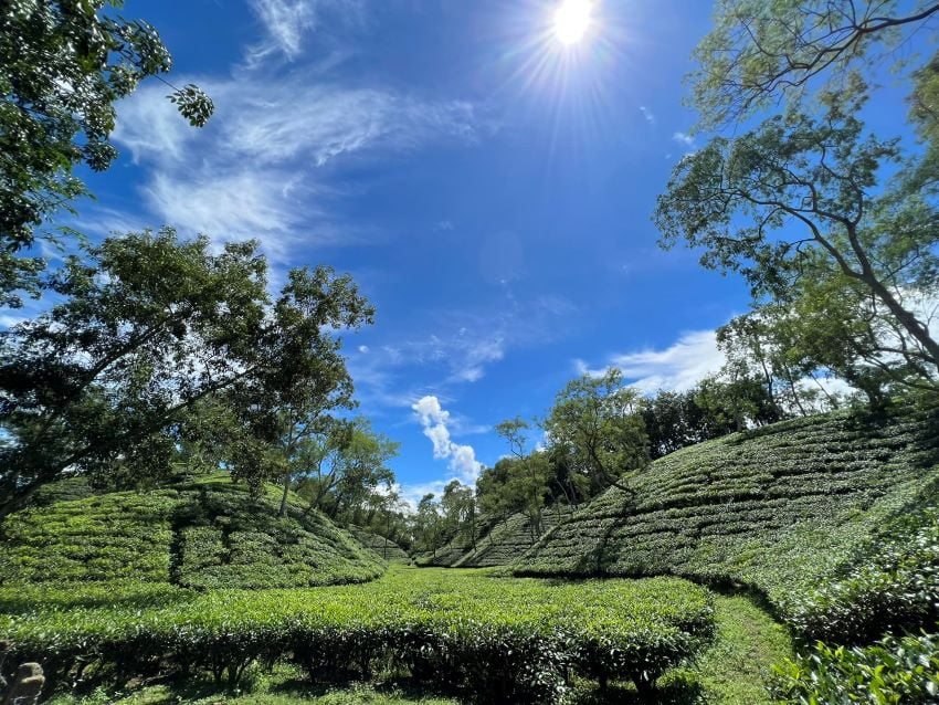 Sylhet – (Paradise of Nature)