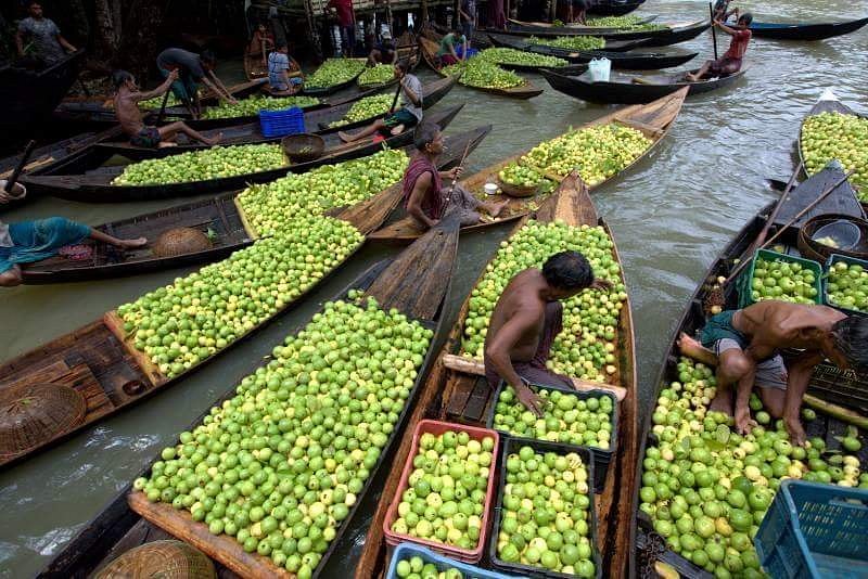Floating Guava Market in Bangladesh