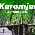 Karamjal Point in Sundarban