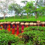 Sreemangal – The Tea Capital of Bangladesh