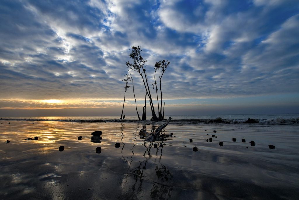 Jamtola Sea Beach in Sundarban