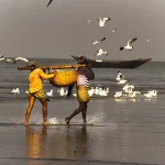 Dublar char in Sundarban